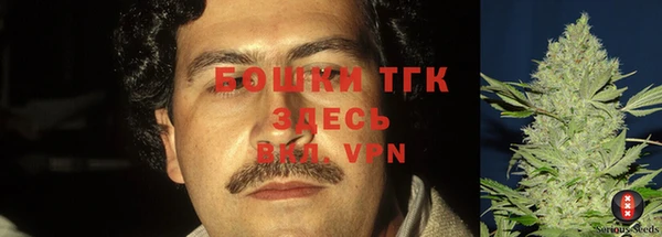 PSILOCYBIN Абаза