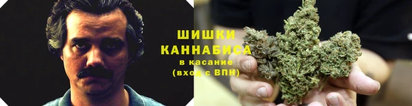 мдпв Саяногорск