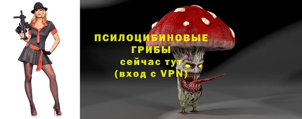 индика Абинск