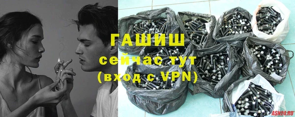 индика Абинск