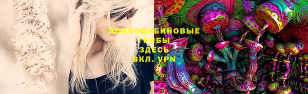 PSILOCYBIN Абаза