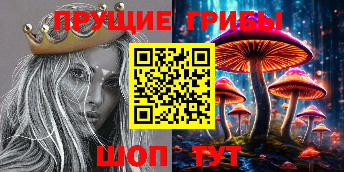 Котлас  Псилоцибиновые грибы Magic Shrooms  магазин продажи наркотиков  Вход с VPN 